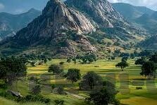 九游app下载版ios-探索九游iOS版应用，丰富多彩的移动娱乐新天地